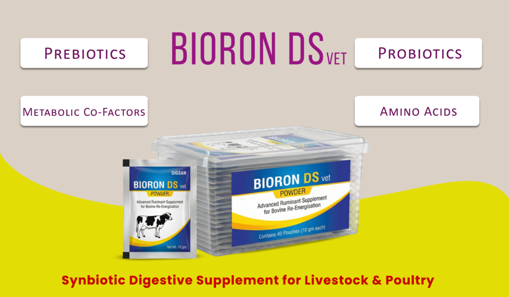 Bioron DS Vet Synbiotic Digestive Supplement for Livestock and Poultry.